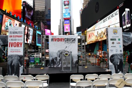 New York Ivory Crush 2015