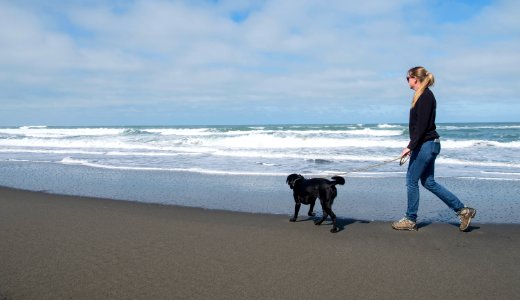 Mike Thompson Wildlife Area, South Spit Humboldt Bay