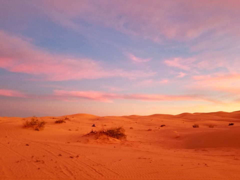 Imperial Sand Dunes