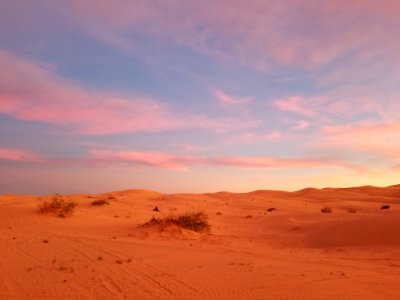 Imperial Sand Dunes