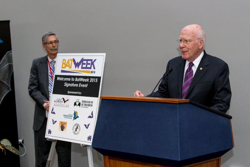 Bat Week 2015: Senator Leahy - 3