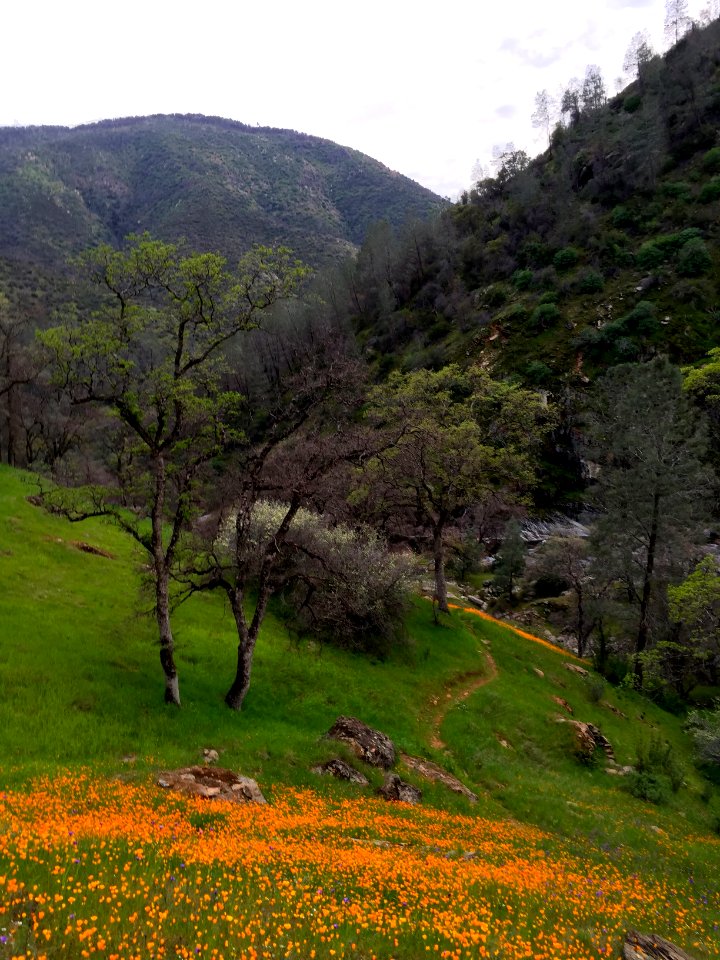 Merced River Recreation Area