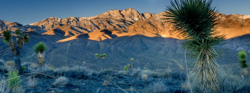 Inyo Mountain Wilderness photo