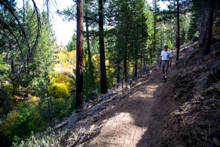 Bizz Johnson Trail