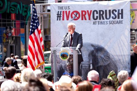 Ivory Crush 2015 - New York City