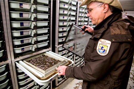 Little White Salmon Fish Hatchery