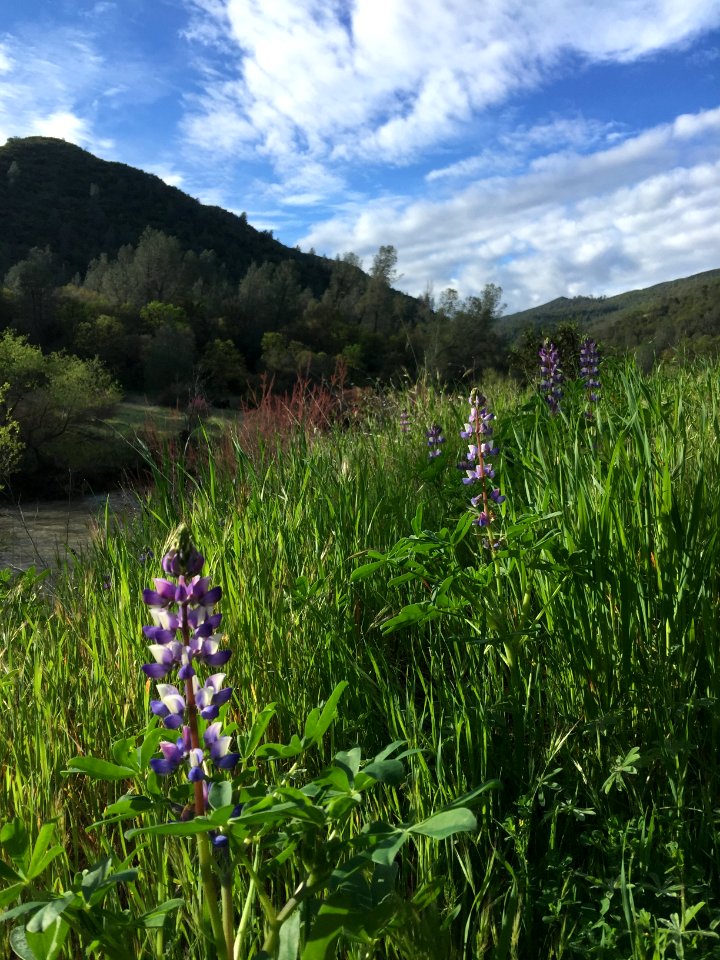 Berryessa Snow Mountain National Monument Dedication Celebration