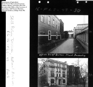 1901-1934 Office Chief Bureau Plant Industry NARA II RG 16-FLS-43 Box 8