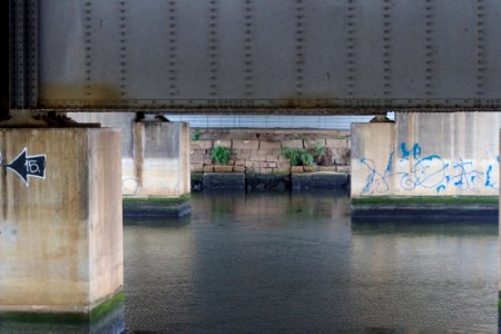 No Trolls Under this Bridge