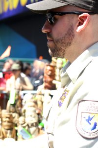 New York Ivory Crush 2015