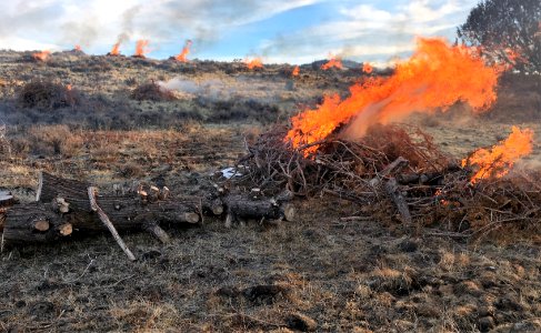 Pile burns near Thomas Creek photo