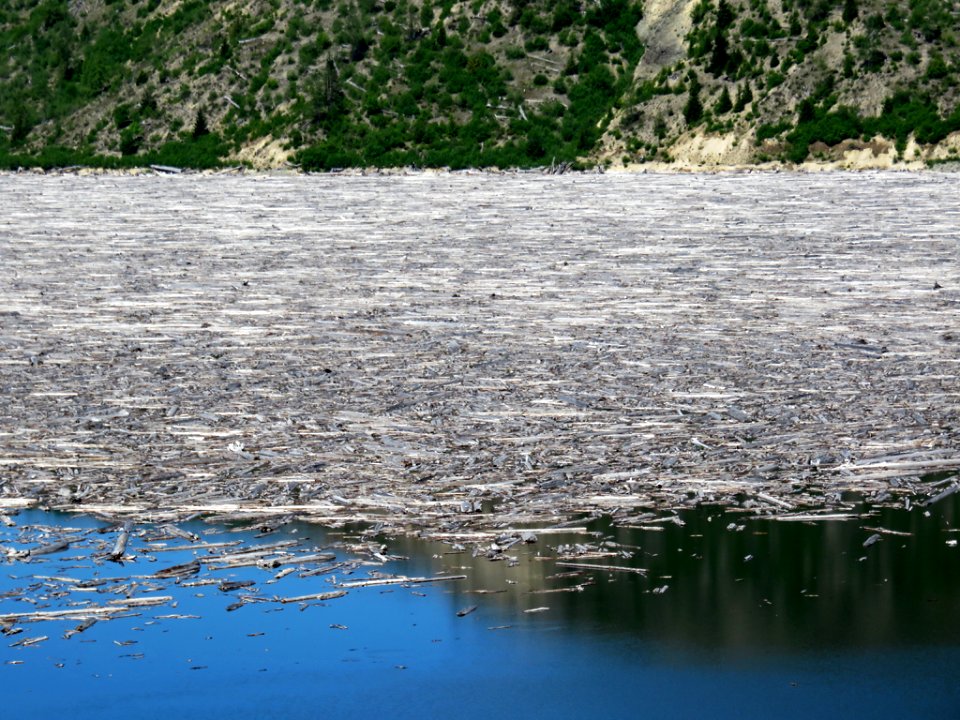 Spirit Lake at Mt. St. Helens NM in Washington