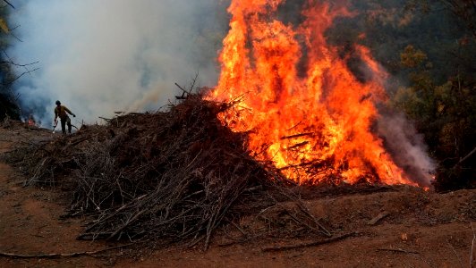 pile burning