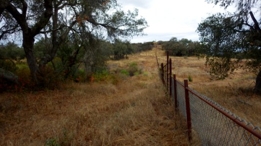 Arc Vineyards LLC, 2017