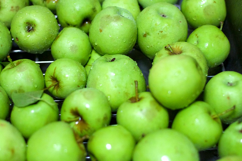 Processing, Processing