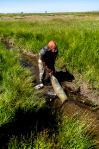 Fish Surveys at Baca National Wildlife Refuge
