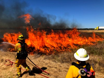 A controlled burn at the Cosumnes River Preserve