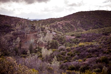 Knoxville Recreation Area - Uphill OHV Tracks