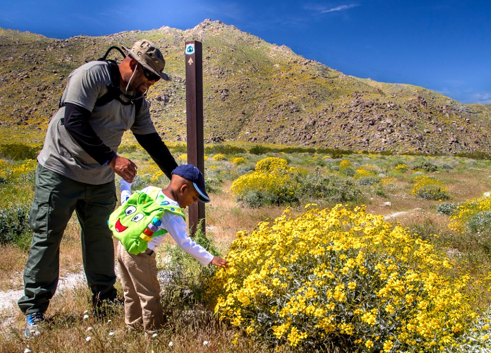 Pacific Crest Trail