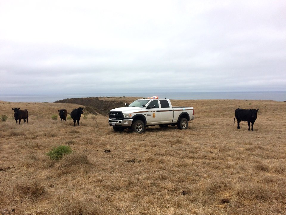 Bureau of Land Management Law Enforcement