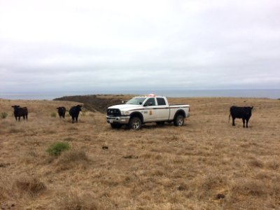 Bureau of Land Management Law Enforcement