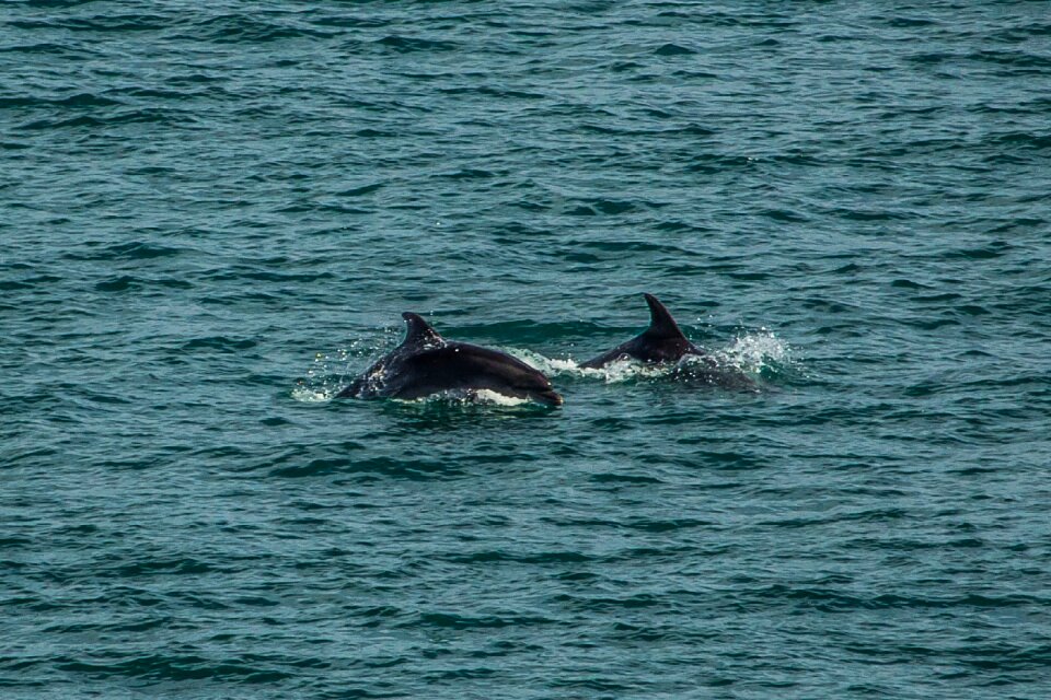 Water nature ocean