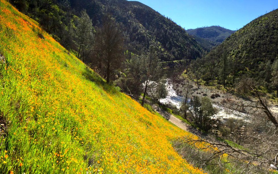 Merced River Recreation Area