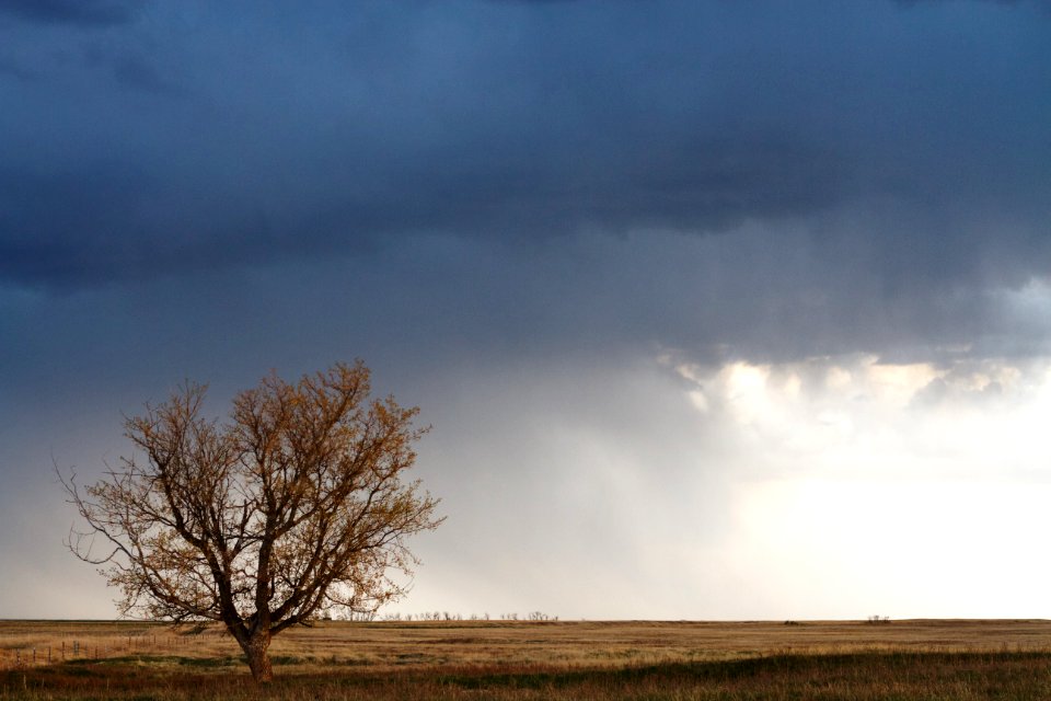 Witnessing the Storm