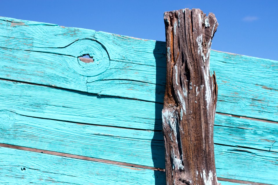 Turquoise Shoot