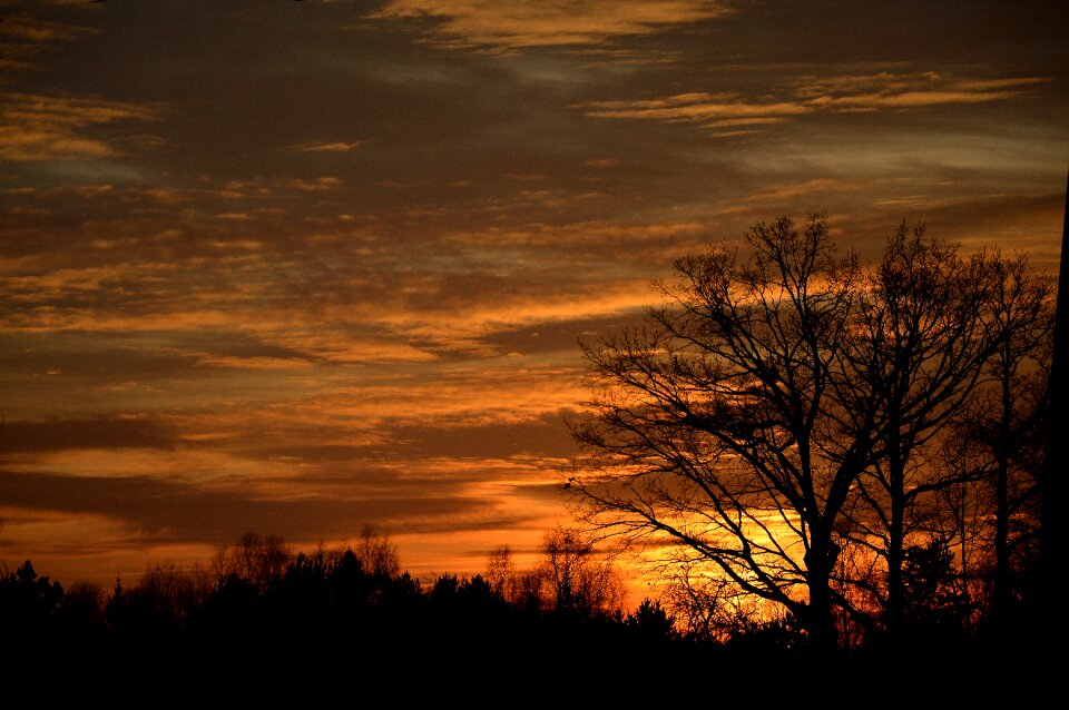 Sky the sun clouds photo