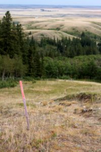 Mark This Spot As Not Your So Called Flat Prairie