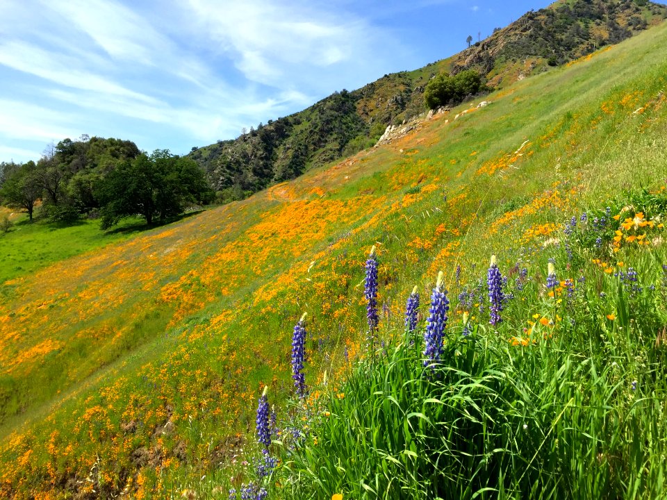 Merced River Recreation Area