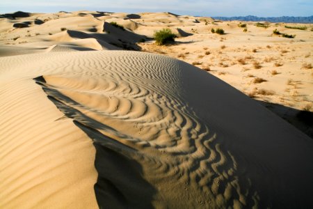 North Algodones Dunes Wilderness