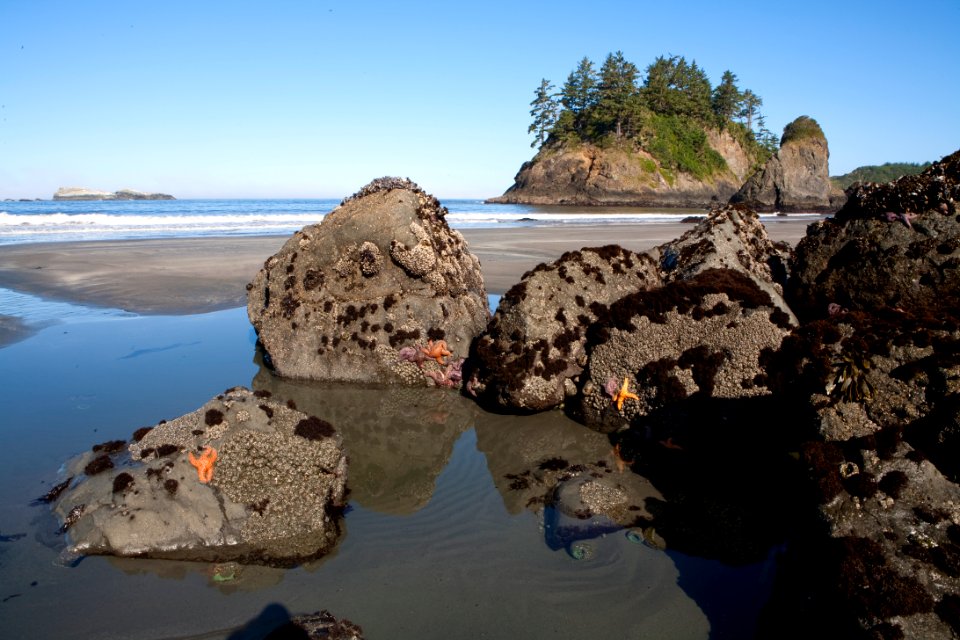California Coastal National Monument at Trinidad Head
