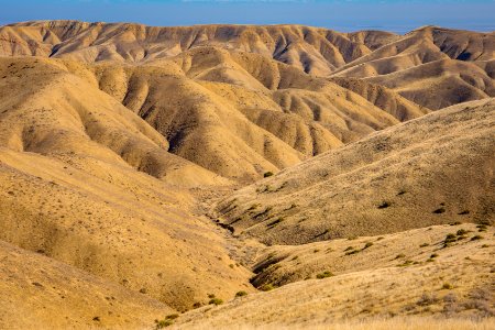 Panoche Hills photo