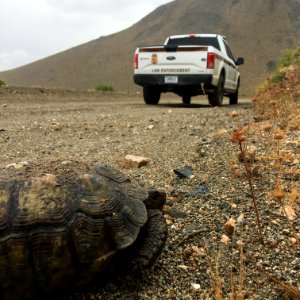 California Desert District, Ridgecrest Field Office