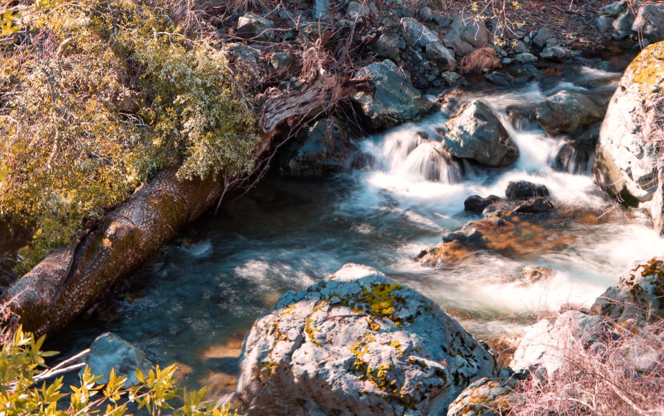 Bartlett Creek in Berryessa Snow Mountain National Monument