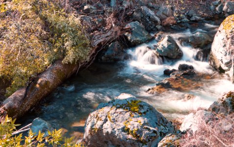 Bartlett Creek in Berryessa Snow Mountain National Monument photo