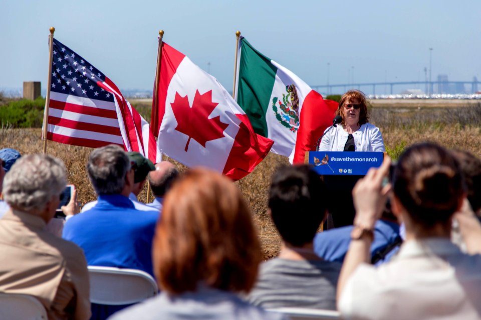 San Diego Bay National Wildlife Refuge - Wilkweed Planting Event