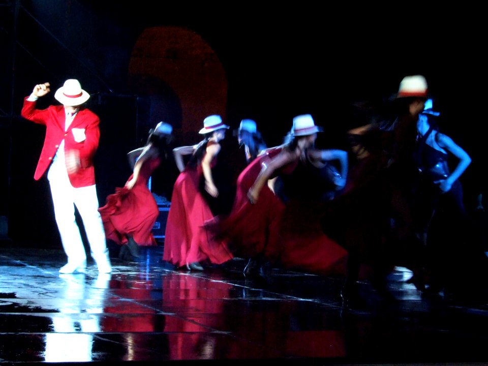 Massimo Ranieri Concert 2009 Taormina-Sicilia-Italy - Creative Commons by gnuckx
