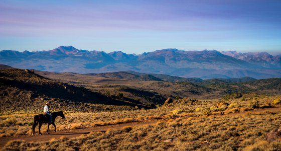 Bodie Hills Equestrian photo