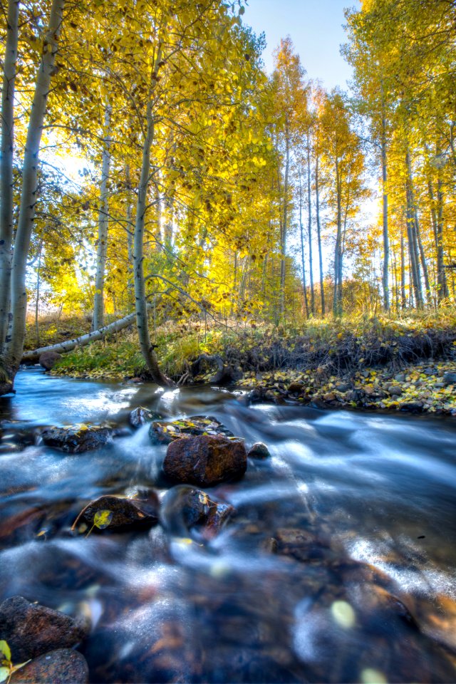 Conway Summit Area of Critical Environmental Concern
