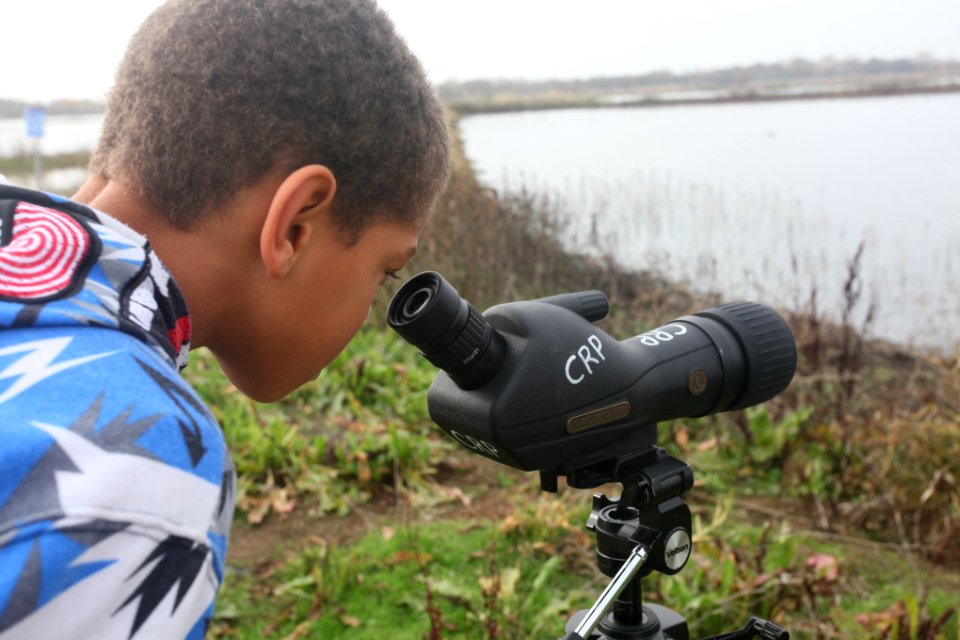 Cosumnes River Preserve