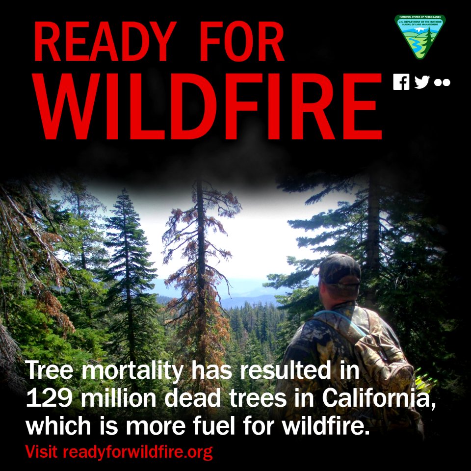 Read For Wildfire: Tree Mortality