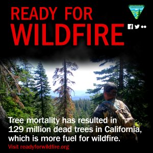 Read For Wildfire: Tree Mortality