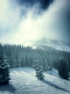 Winter mist fog