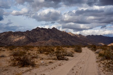 Mojave Trails National Monument photo