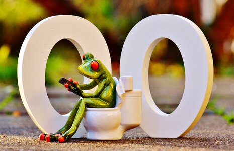 Funny frog session