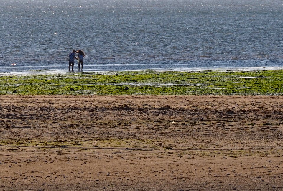 Aquel verano en la playa