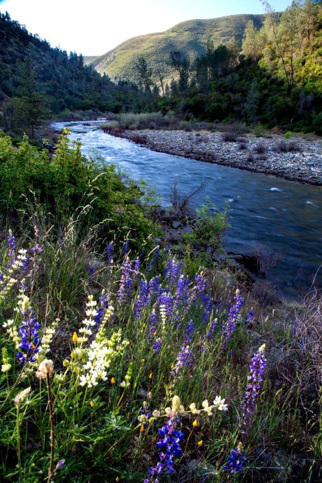 Merced Wild and Scenic River